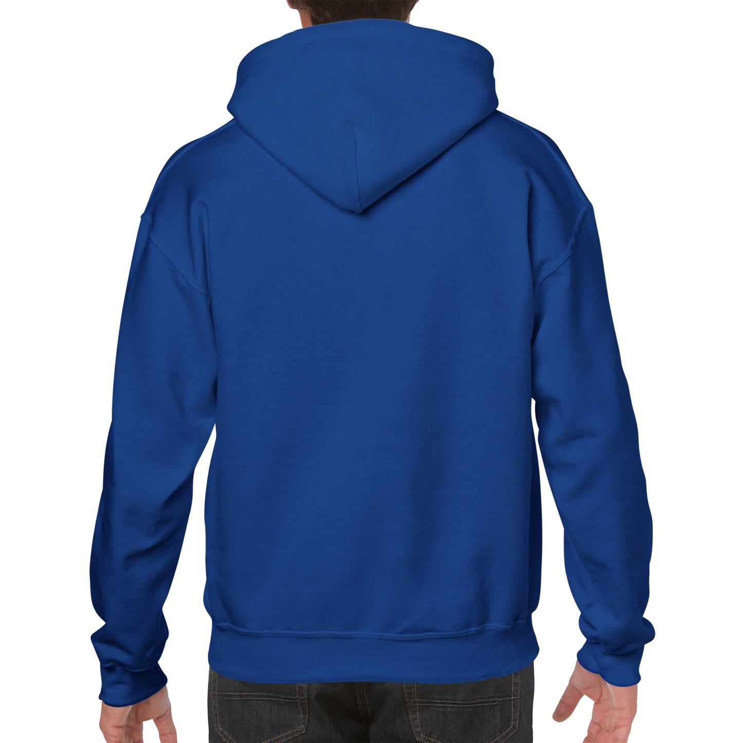 African Proverb Premium Unisex Pullover Hoodie " If you want to know the end, look at the beginning