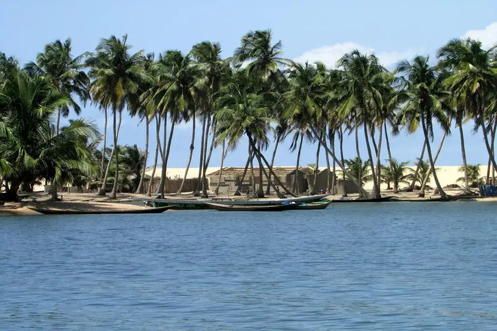 The Ghana Experience 2024 (One-Time Payment)