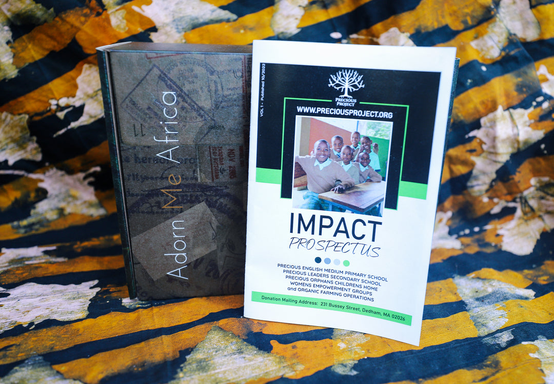 Passport to Africa Box