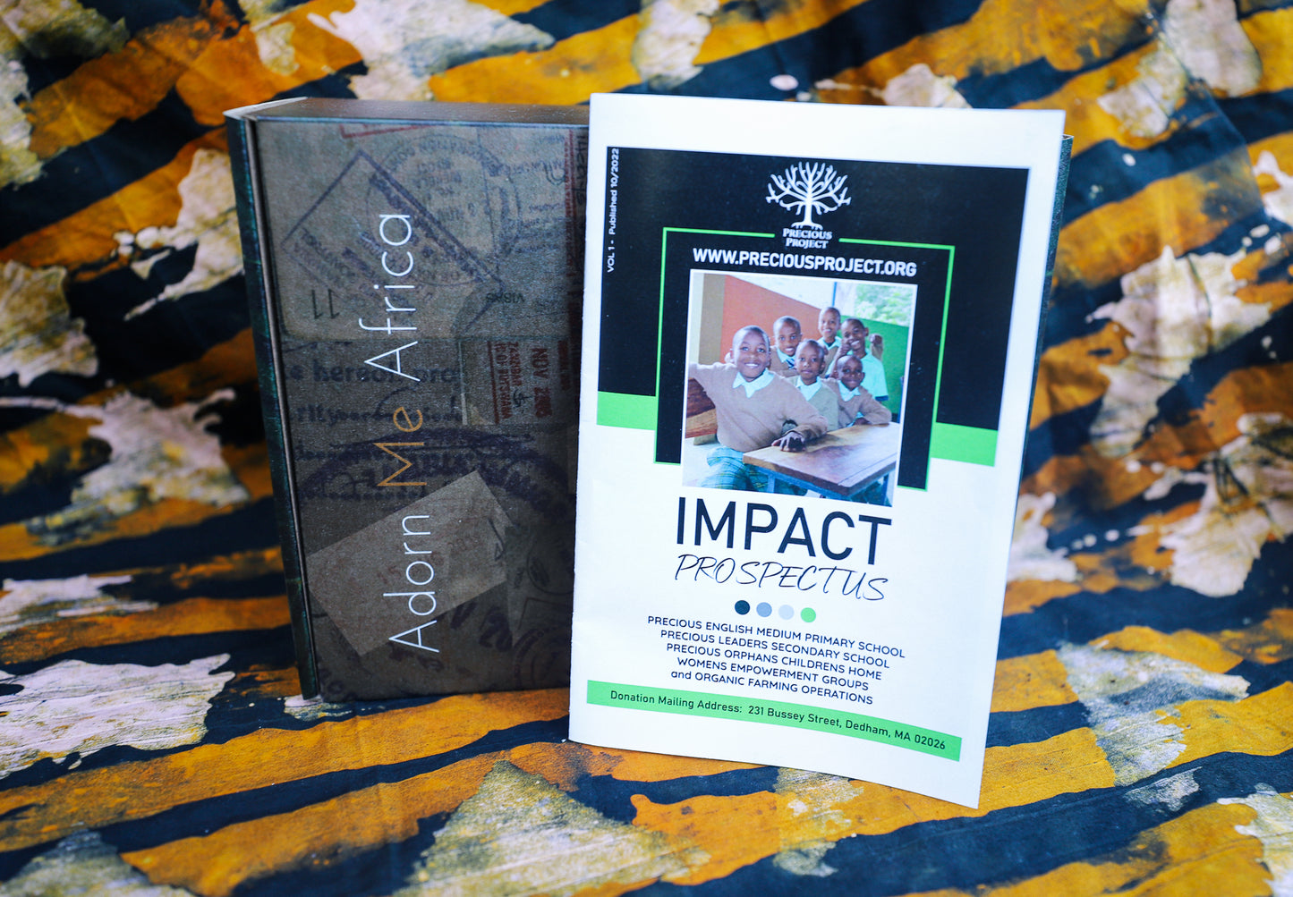 Passport to Africa Box